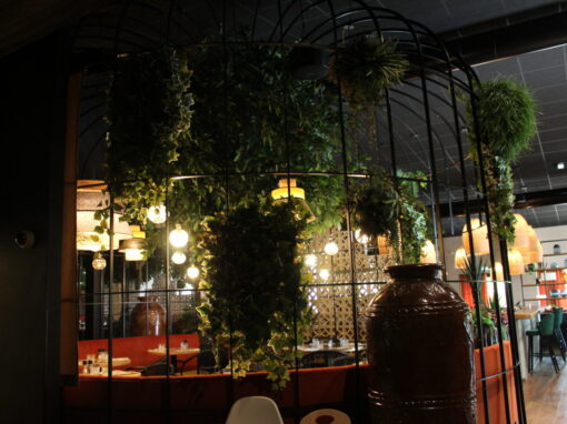 CAGE RESTAURANT MARGUERITE QUIMPER 5