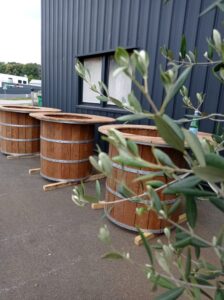 ENSEMBLE-DE-3-TABLES-EN-BOIS-EXOTIQUE-FORMANT-DES-BACS-A-FLEURS-VISIBLES-A.UIMPER-224x300